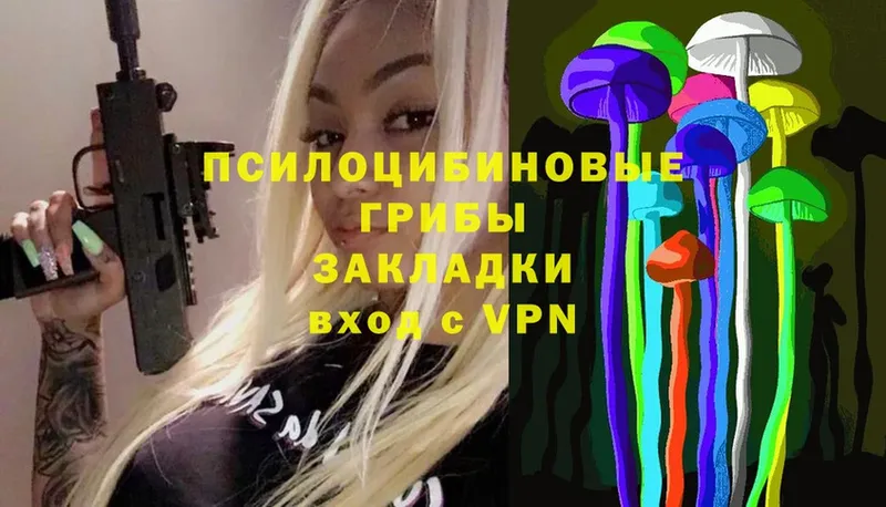 Псилоцибиновые грибы Psilocybe  Шахты 